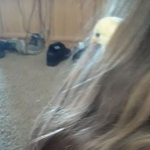 Meet your Posher, Mia